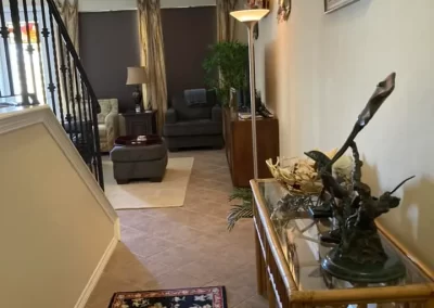 House Cleaning (11)
